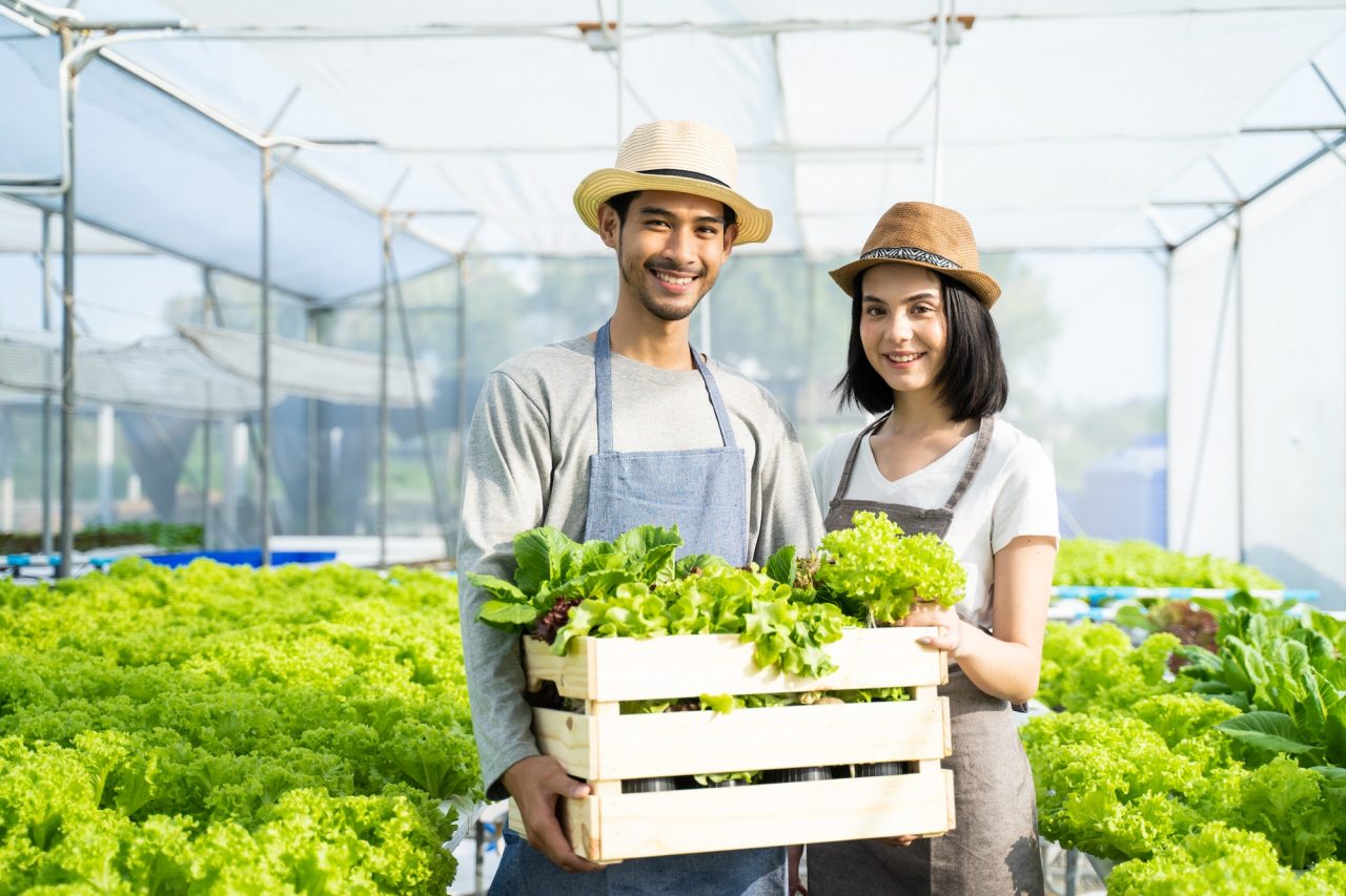 Personas cargando vegetales de fundo Baigorria
